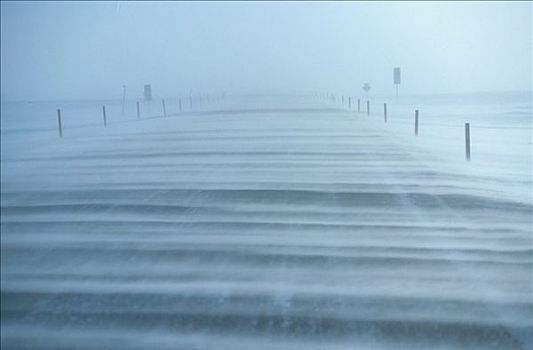 地面,暴风雪,普拉德霍湾,道路,北极