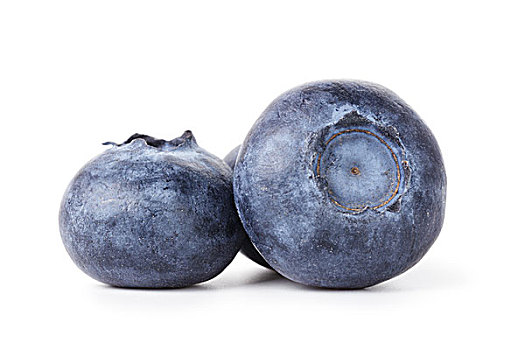 三个,新鲜,蓝莓,隔绝,白色背景,背景