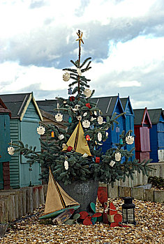 圣诞树,海滩,正面,排,海滩小屋