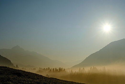 晨雾,山谷,风景,靠近,上巴伐利亚,巴伐利亚,德国,欧洲