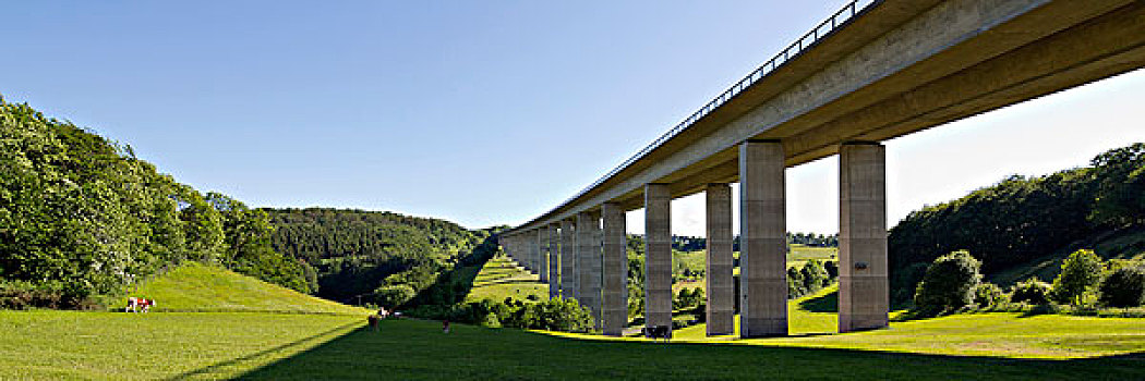 高速公路,桥,树林,北莱茵威斯特伐利亚,德国