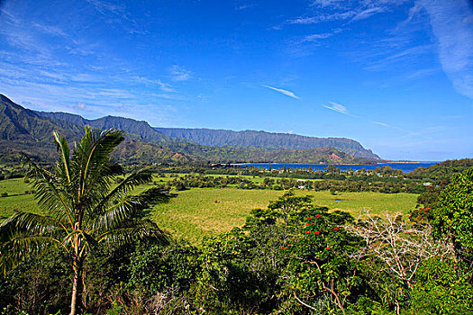 风景,考艾岛,夏威夷