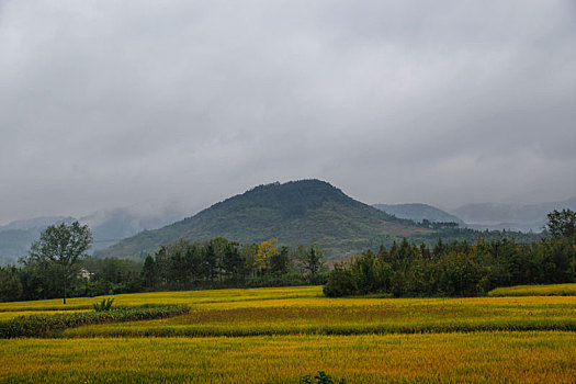 霭里村,美丽乡村,乡村旅游