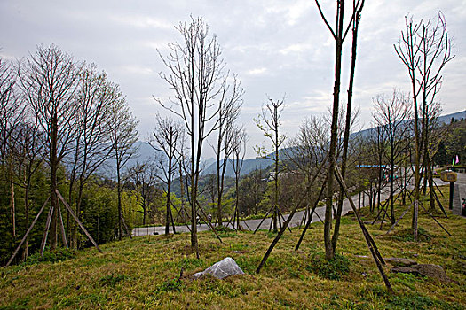 四川北川药王谷