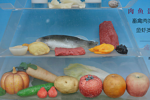 塑料食品模型
