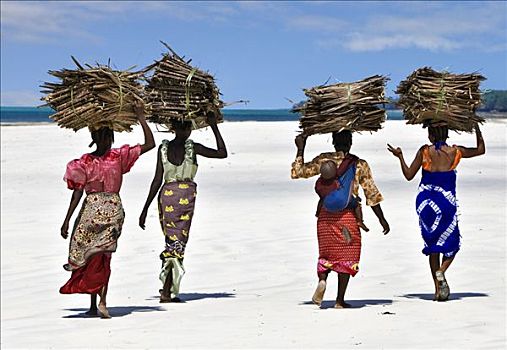 肯尼亚,蒙巴萨,女人,头部,干燥,椰树,叶状体,南海岸