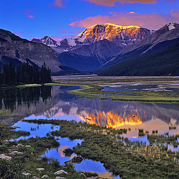 反射,山,水中,碧玉国家公园,艾伯塔省,加拿大