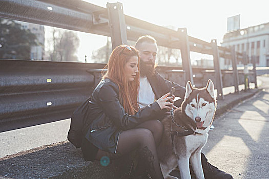 坐,夫妇,狗,看,智能手机