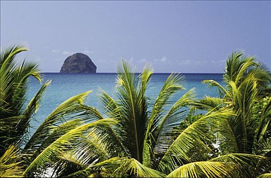 马提尼克岛,风景,计划