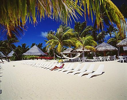 法属玻利尼西亚,波拉岛,海滩,公园,皇家,女人,日光浴,休闲椅,白色背景,沙滩