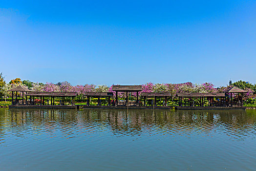 海珠湿地公园