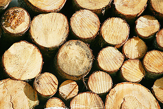 木料,木材,光线,短小