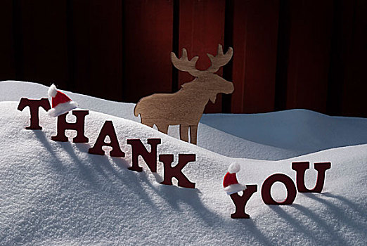 圣诞贺卡,驼鹿,圣诞帽,雪,感谢