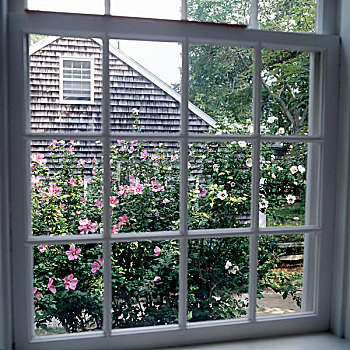 窗户,花园,房子