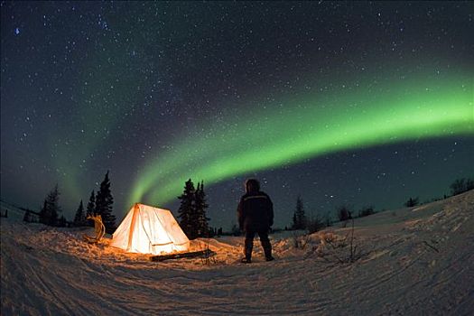 人,站立,靠近,帐蓬,看,北极光,瓦普斯克国家公园,曼尼托巴,加拿大