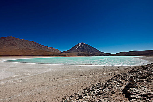 火山,泻湖,安第斯,动物,国家级保护区,玻利维亚