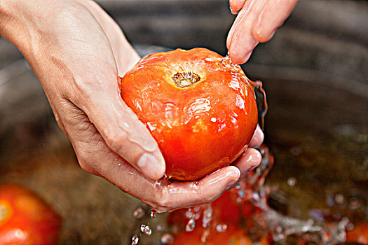 特写,女人,手,洗,西红柿