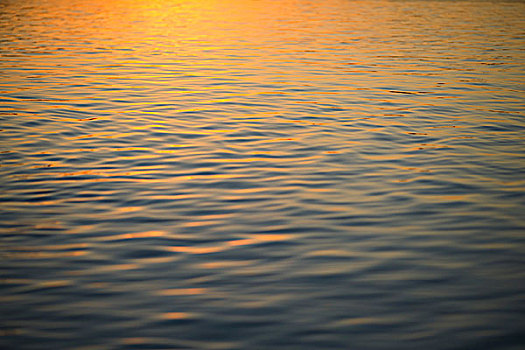 日落,反射,水面,水