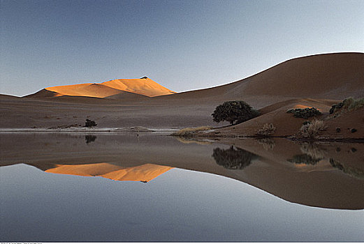 沙丘,反射,纳米比亚