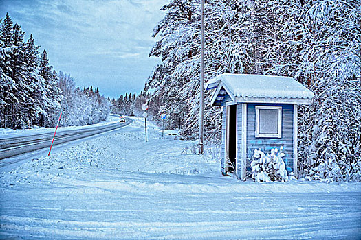 传统,公交车站,角,积雪,乡村道路,瑞典