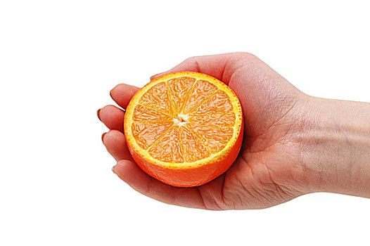 握着,一半,切削,橙子,隔绝,白色背景