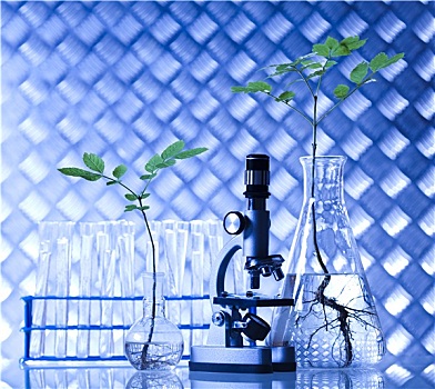 生物科技,化学品,实验室器皿