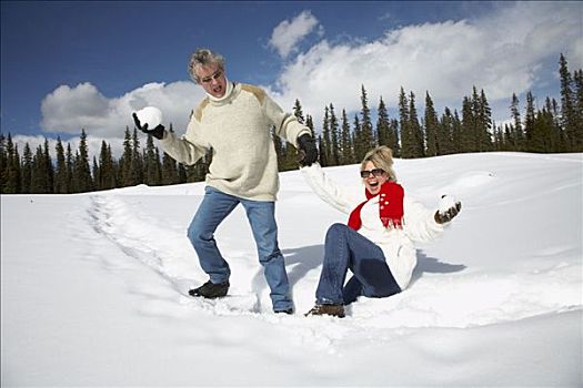 伴侣,玩,雪中,落基山脉,艾伯塔省,加拿大