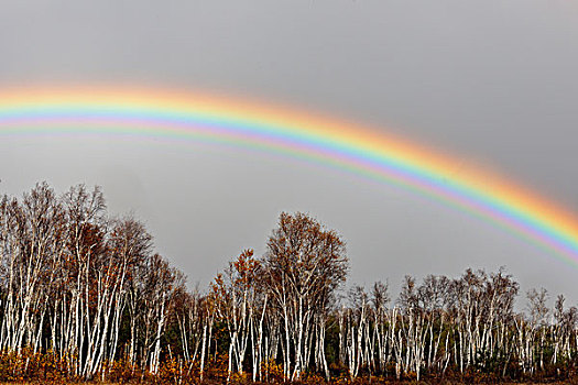 乌云,彩虹,萨德伯里,安大略省,加拿大