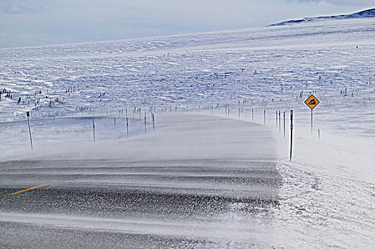 冬天,公路,阿拉斯加输油管,北方,加拿大