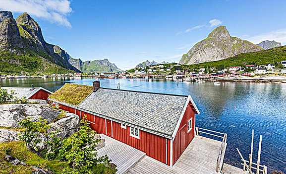 红房,风景,上方,峡湾,夏天,瑞恩,渔村,罗弗敦群岛,挪威,欧洲