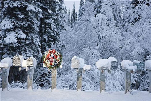 几个,邮箱,排列,一个,装饰,圣诞花环,冬天,阿拉斯加