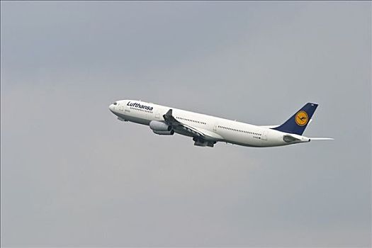 空中客车,攀登,飞行,汉莎航空公司,慕尼黑机场,巴伐利亚,德国,欧洲
