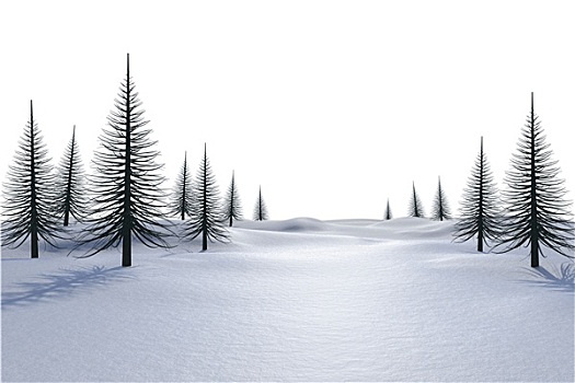 白色,雪景,枯木