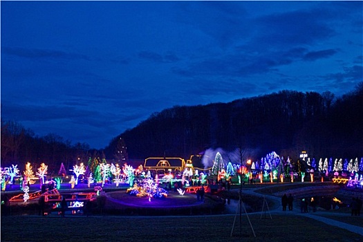 乡村,圣诞灯光,蓝色,钟点,风景