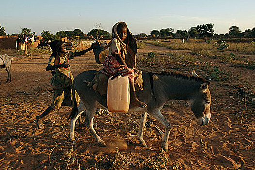 塑料制品,女孩,男孩,运输,水,驴,利雅得,露营,人,近郊,西部,达尔富尔,苏丹,十一月,2004年
