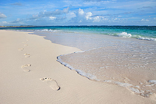 沙滩,脚印,旁侧,海洋,蓬塔卡纳,多米尼加共和国