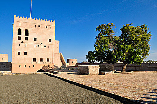 历史,砖坯,要塞,堡垒,城堡,巴提纳地区,区域,阿曼苏丹国,阿拉伯,中东