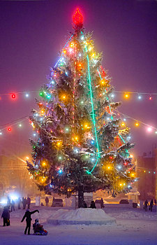 圣诞树,城镇广场