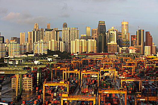 新加坡,天际线,运输,港口,前景