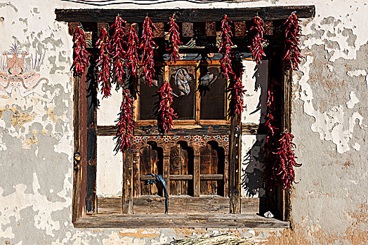 干燥,红椒,悬挂,窗,不丹