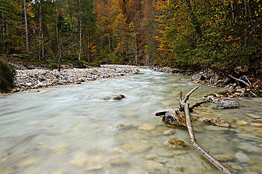 风景,峡谷,秋天,巴伐利亚,德国