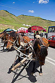 驴,手推车,旅游,南山,牧场,乌鲁木齐,新疆,维吾尔,地区,丝绸之路,中国