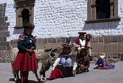 秘鲁,库斯科市,女人,美洲驼
