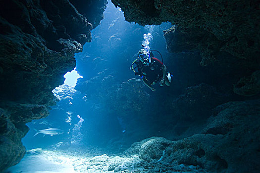 开曼群岛,大开曼岛,美女,深潜,加勒比海