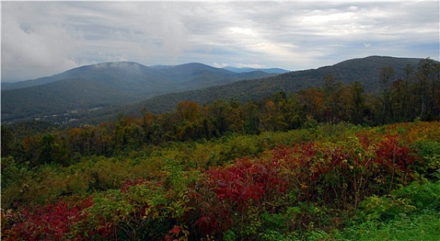 秋色,仙纳度国家公园,弗吉尼亚
