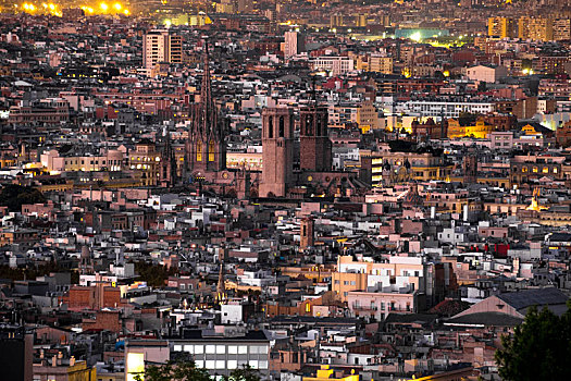 大教堂,巴塞罗那,哥特式,地区,加泰罗尼亚,西班牙