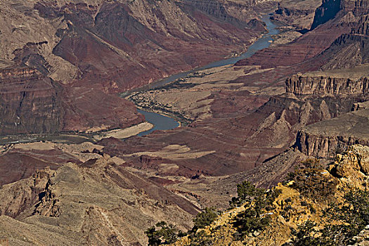 科罗拉多河,荒芜,风景,南缘,大峡谷国家公园,亚利桑那,美国