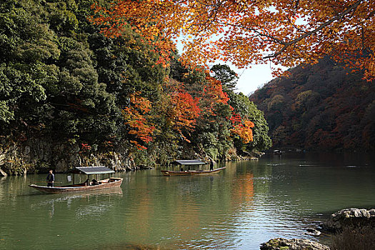 秋叶,岚山