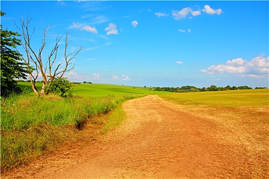 美女,乡村道路