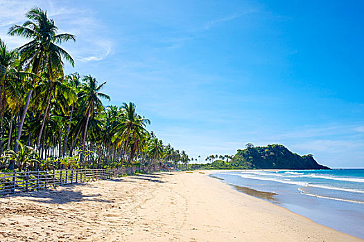 棕榈树,白沙滩,海滩,爱妮岛,巴拉望岛,菲律宾,亚洲